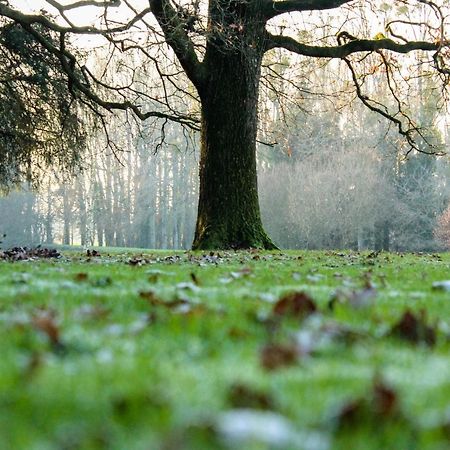 Chateau De La Chasse Beauvais Romagne  ภายนอก รูปภาพ