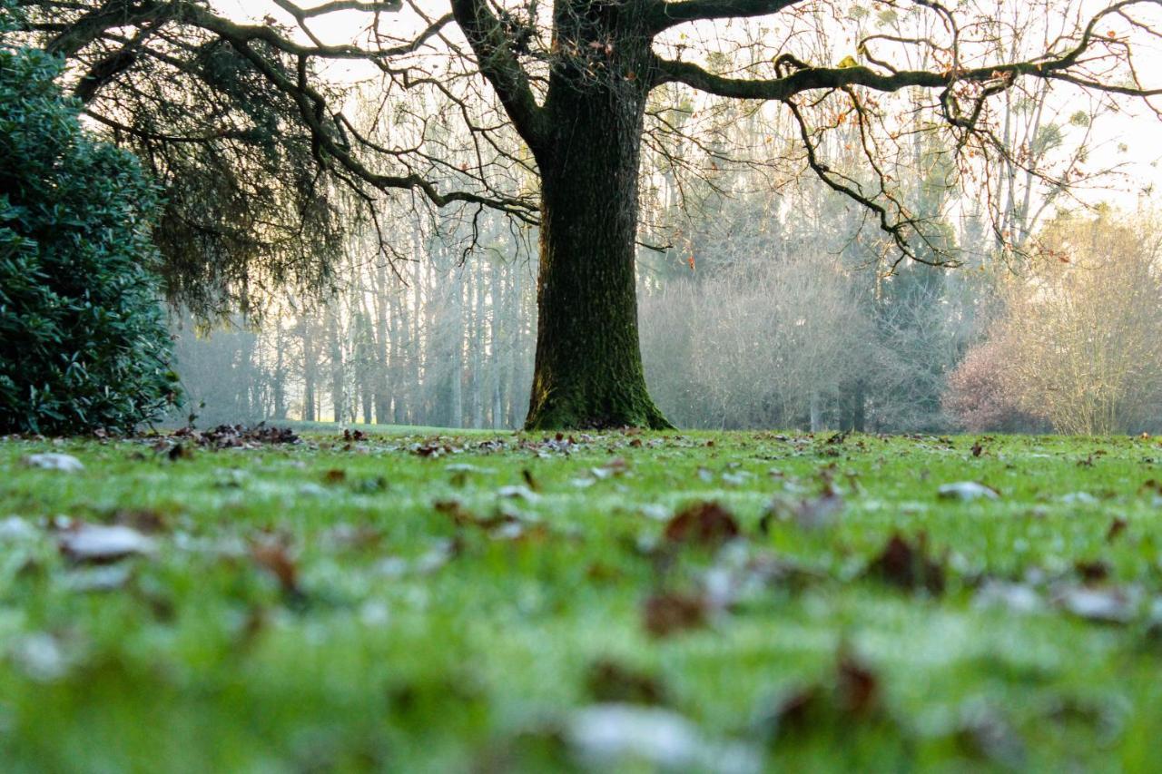 Chateau De La Chasse Beauvais Romagne  ภายนอก รูปภาพ